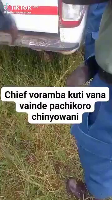 Sabhuku Temba P. Mliswa tweet media