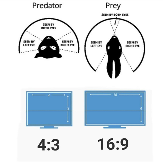 booting up osu in 4:3 to enter my predator mode