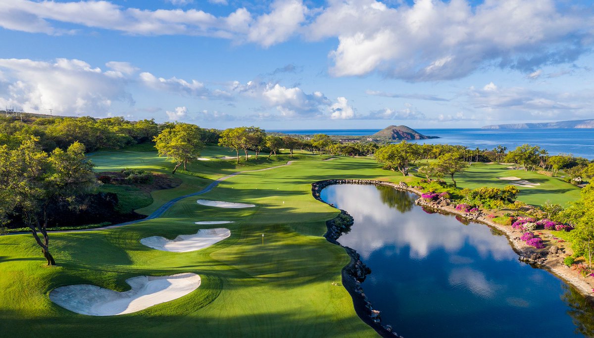 PSmith412's tweet image. Sony Open ⛳️🌺

Bet365 ew

🇯🇵Deki 28 (3)
🇺🇸Morikawa 30 (3)
🇵🇭Rico Hoey 45 (5)
🇺🇸Zac Blair 80 (10)

First swing of the year, feels good to be back!