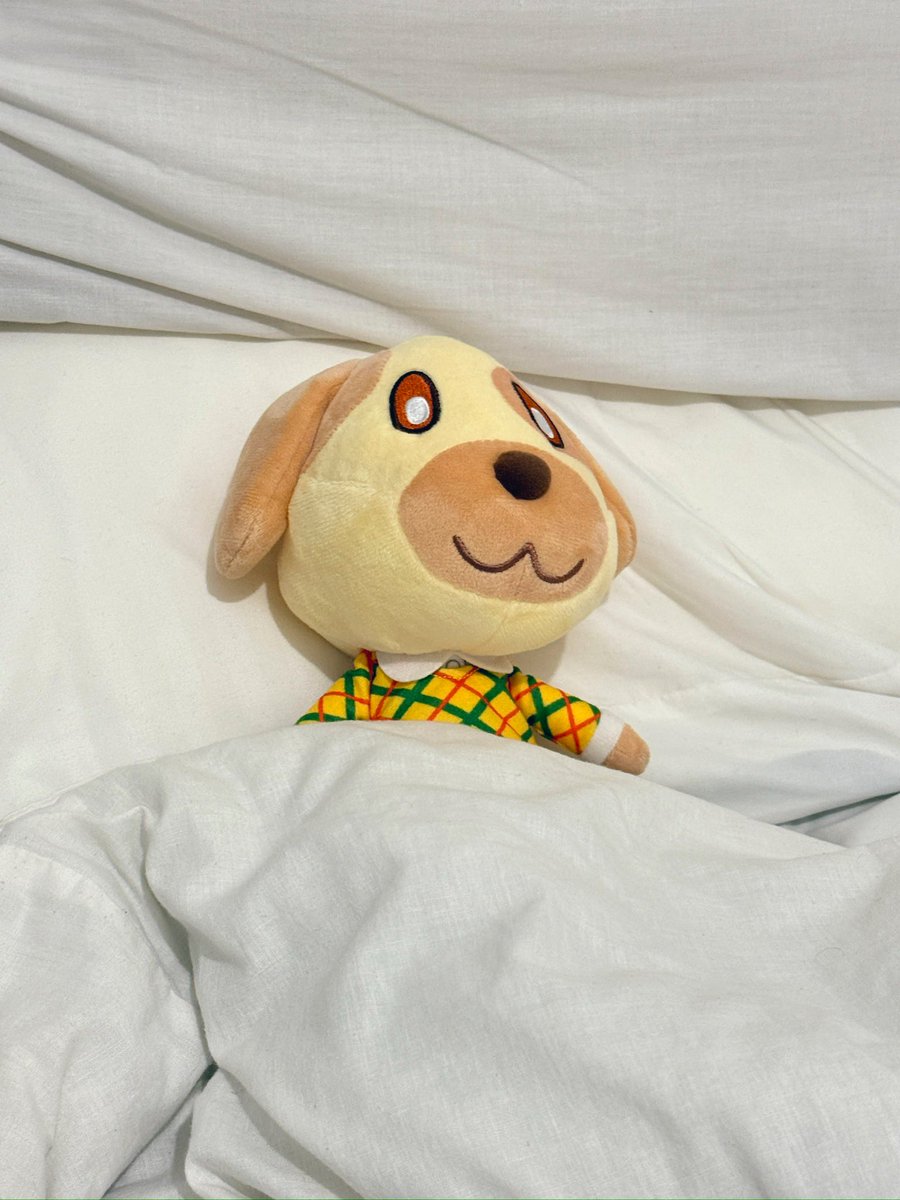 WAKE UP GAMERS IT’S TIME TO PLAY ANIMAL CROSSING