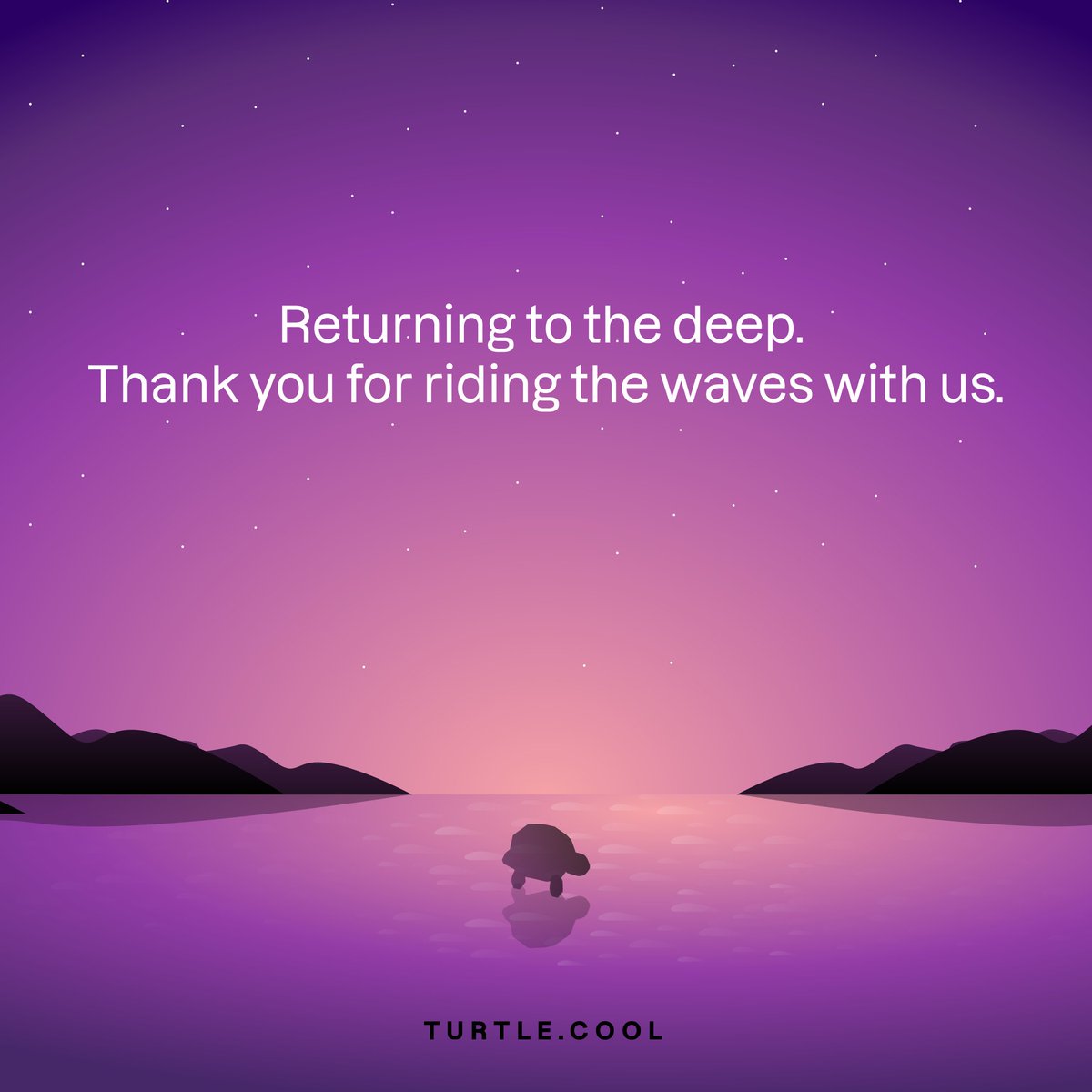 turtle_app tweet media