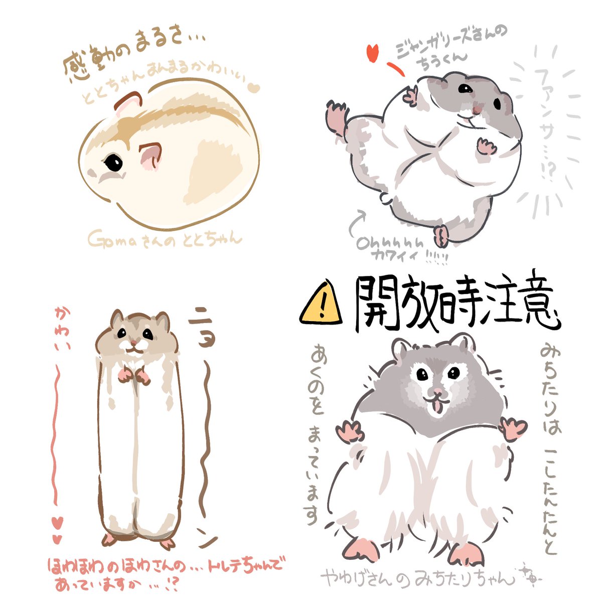 Goma (@K8dRif47) / Posts / X