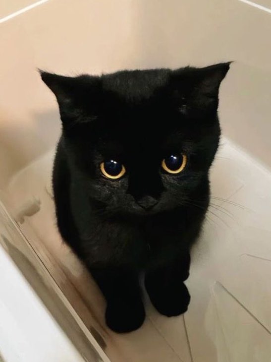 yumniqlo's tweet image. 