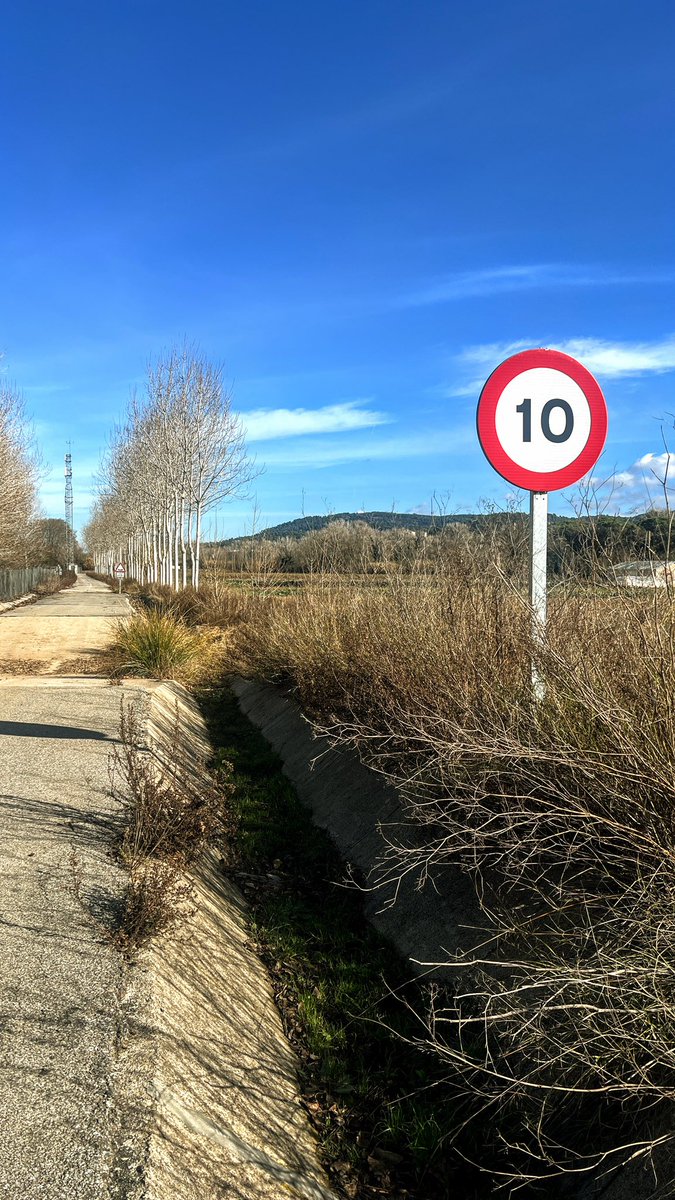 Santa Agnès tweet media