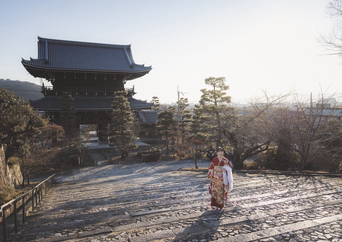 芹-せり- tweet media