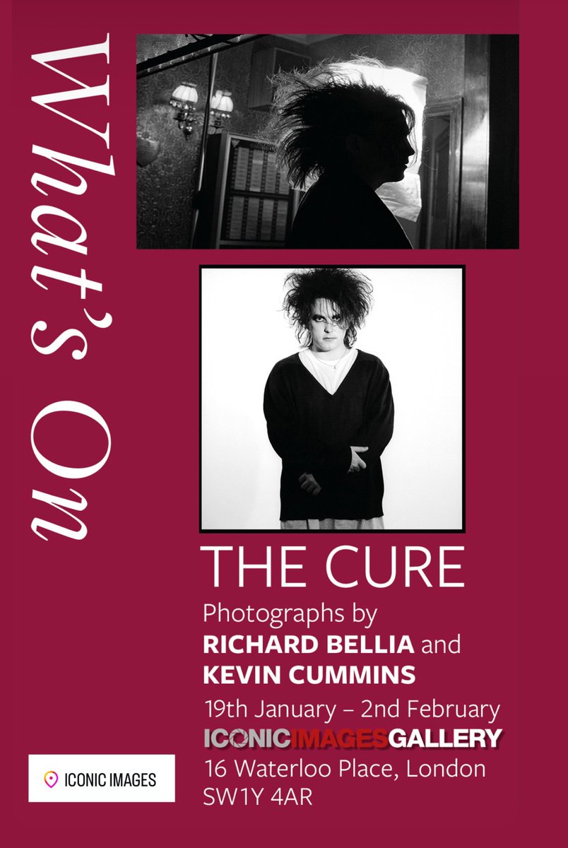 Chain of Flowers tweet media