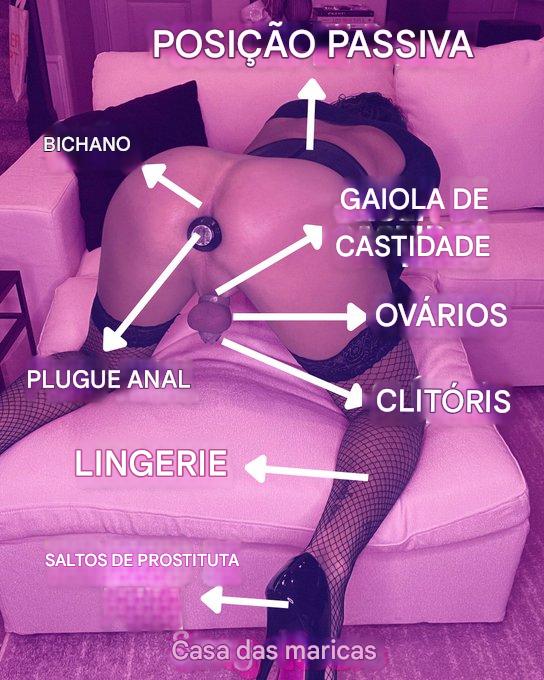 🎀MAMÃE ANA🎀 tweet media