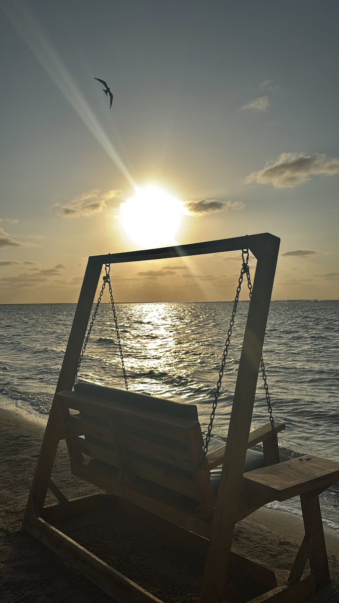 kai9 (@akai_l9) on Twitter photo 