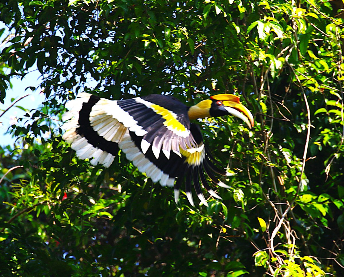 sean clancy tweet media