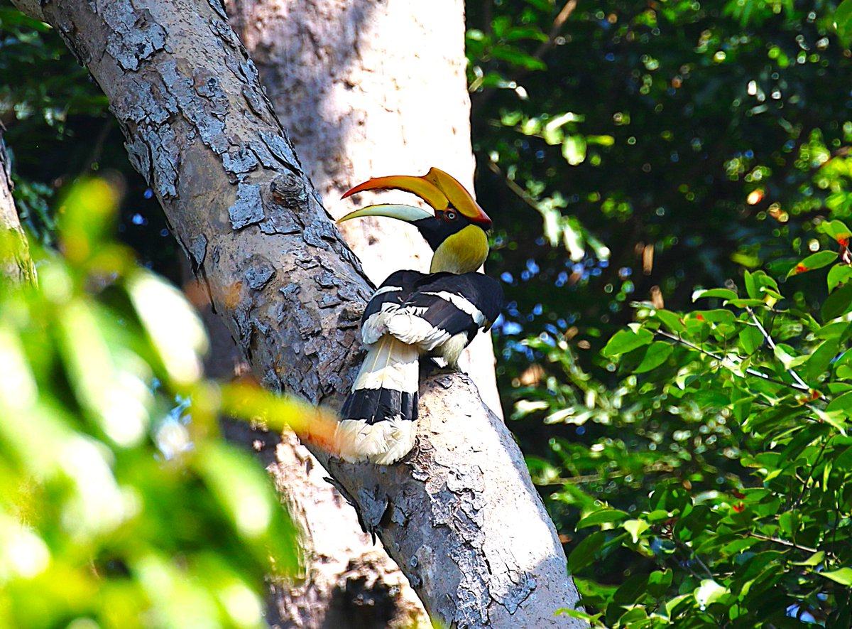 sean clancy tweet media