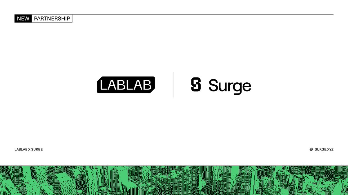 Surge tweet media