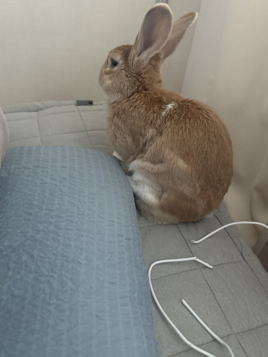 borively's tweet image. 나는 모르는 일