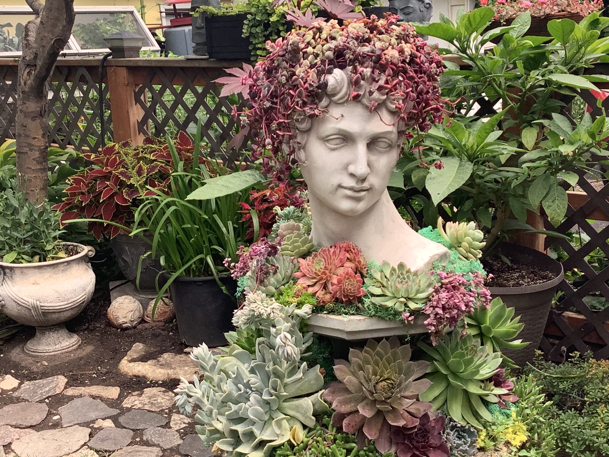 Colleen Zacharias tweet media