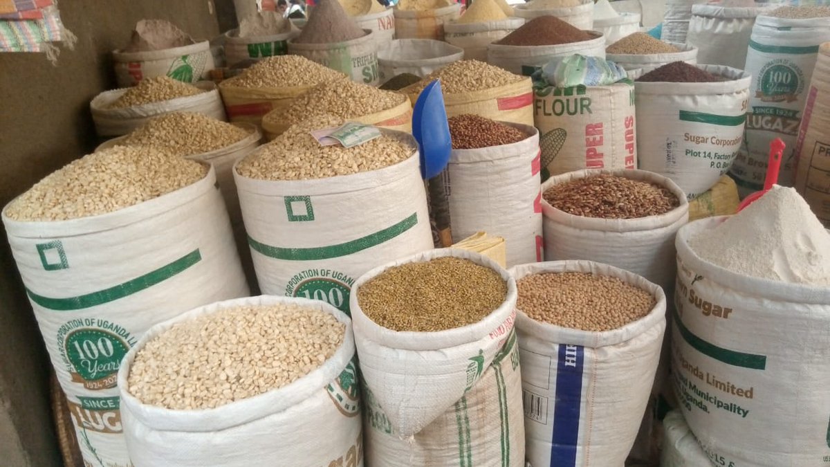 BurundiEco's tweet image. 1/Les #prix des denrées alimentaires au marché de @Gitega restent élevés. Cela est dit par les consommateurs qui se sont entretenus avec Burundi eco le 13 janvier 2026. Un kg de riz simple coûte 7000fbu, celui du haricot de type kinure 3000fbu et celui des grains de maïs 2200fbu.