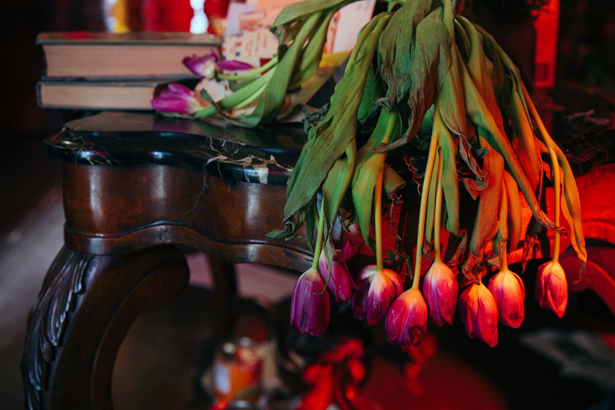 mitskidata's tweet image. 🚨 Welcome to the Tansy House.