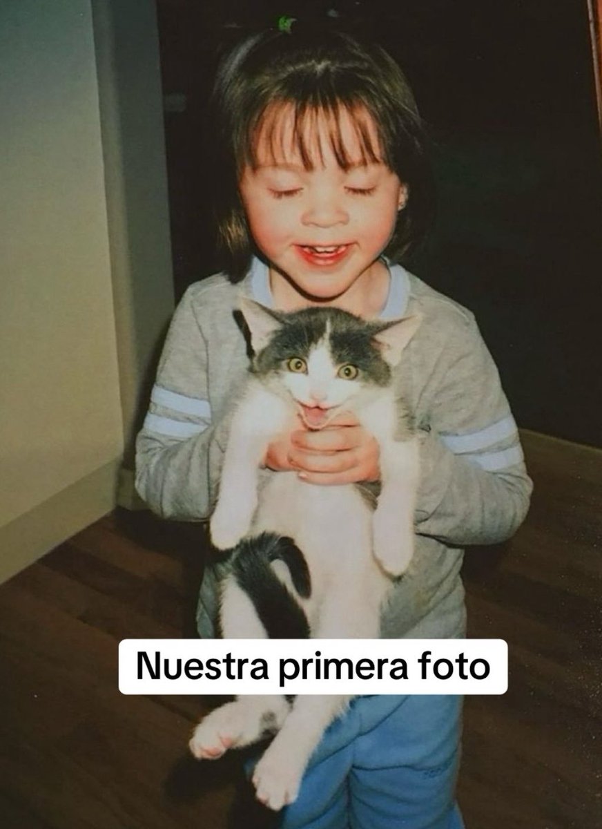 barbie_context's tweet image. Una chica subió la primera y la última foto que se hizo con su gato de 20 años