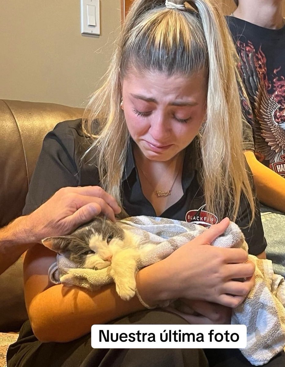 barbie_context's tweet image. Una chica subió la primera y la última foto que se hizo con su gato de 20 años