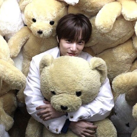 pottatobboy's tweet photo. 수상할 정도로 곰돌이 꼬옥 끌어안는 남자 https://t.co/B5TYDVC2An