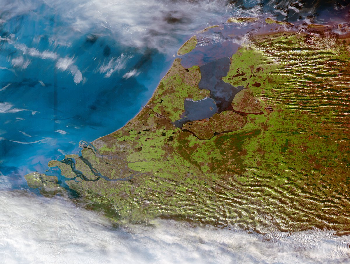 Fred Jansen tweet media