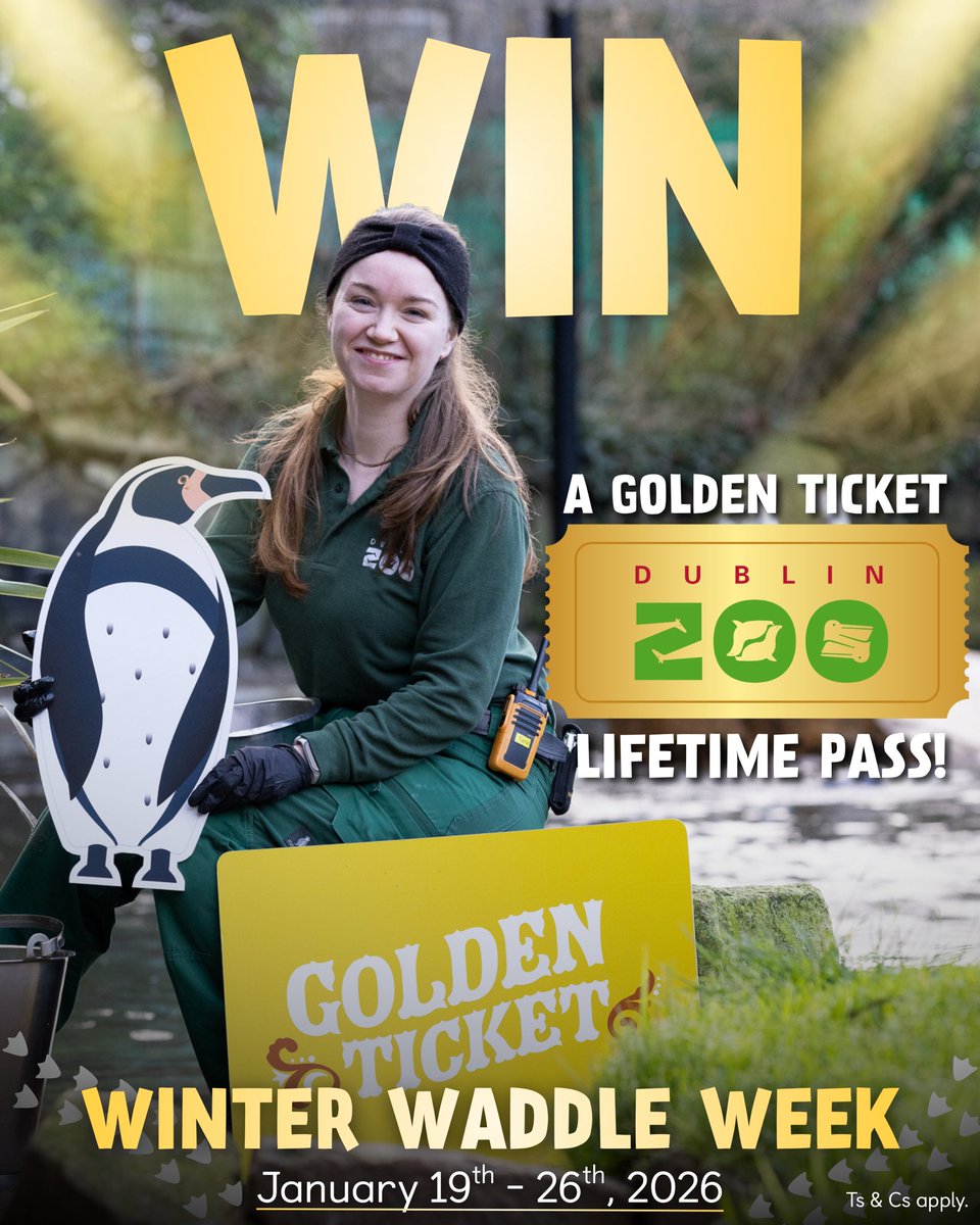 Dublin Zoo tweet media