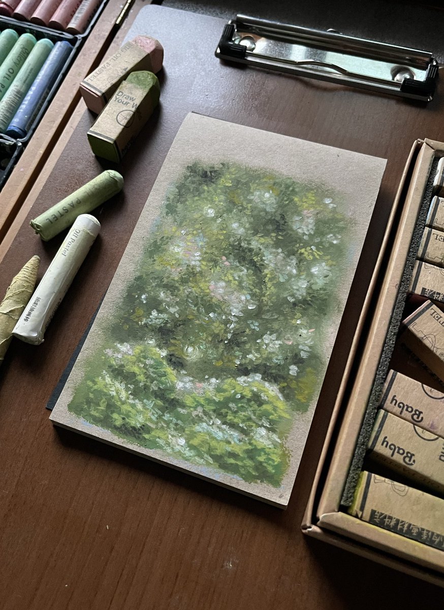 happylittletim's tweet image. 🌿