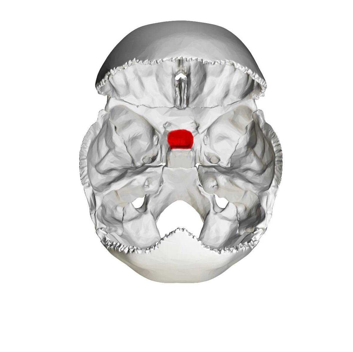 Bruce | True Health Coach tweet media