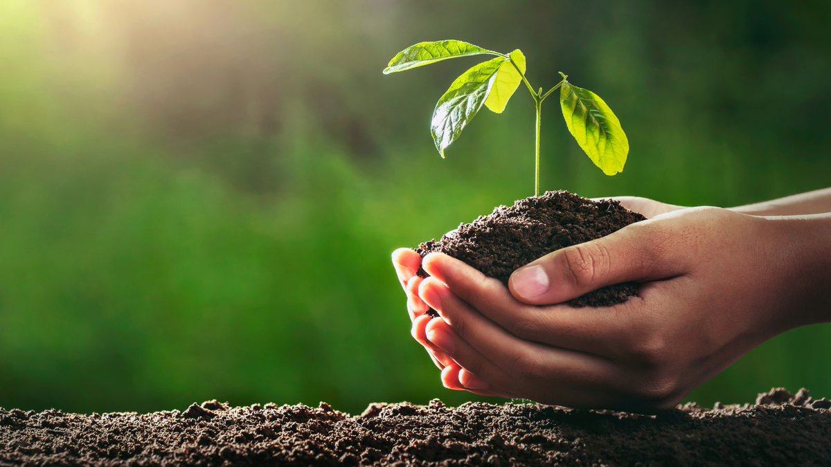 Church of England Environment Programme tweet media