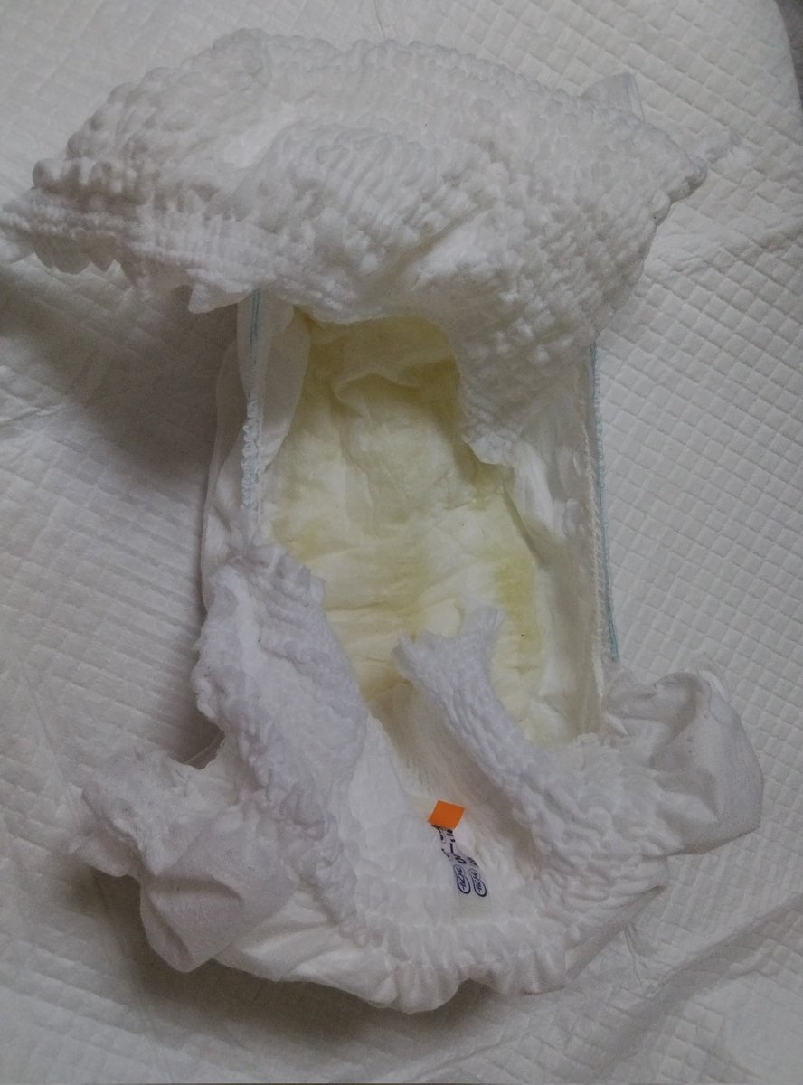 Toritorimap's tweet image. 疲れて寝てた……
おねしょしてたから着替えなきゃ