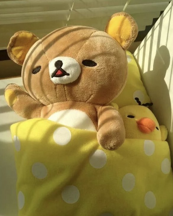 ˖◛⁺˖ tweet media