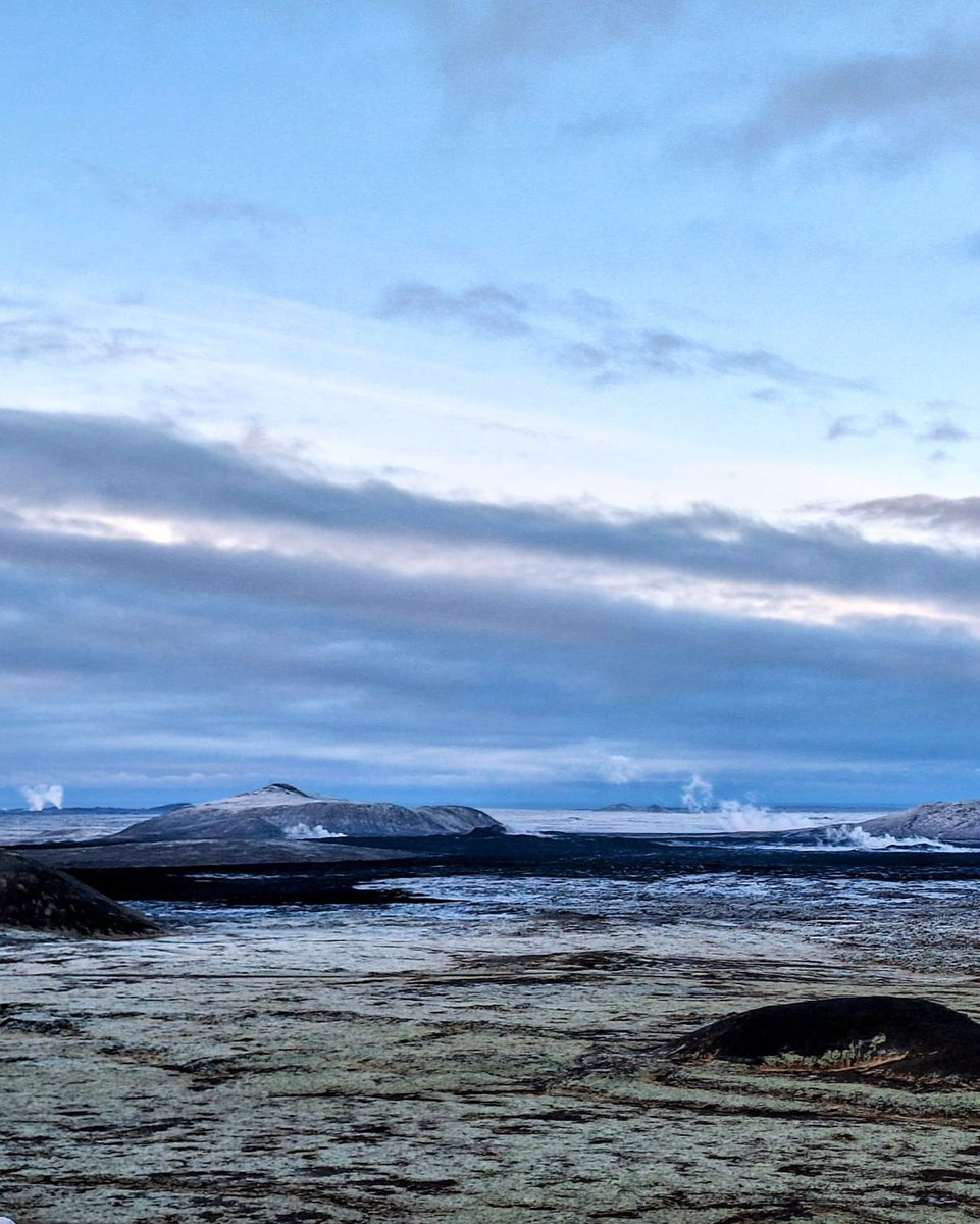 BusTravel Iceland tweet media