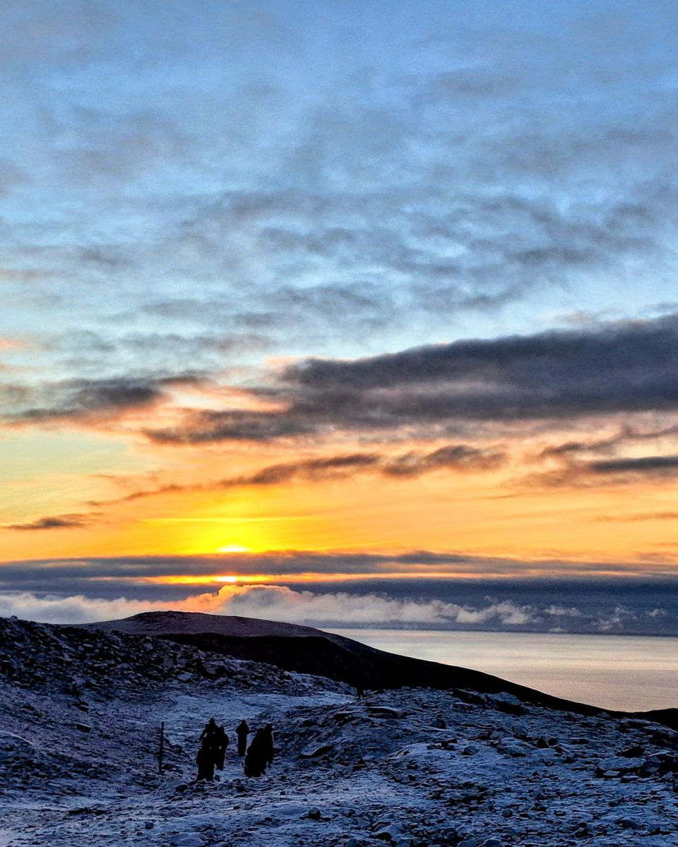 BusTravel Iceland tweet media