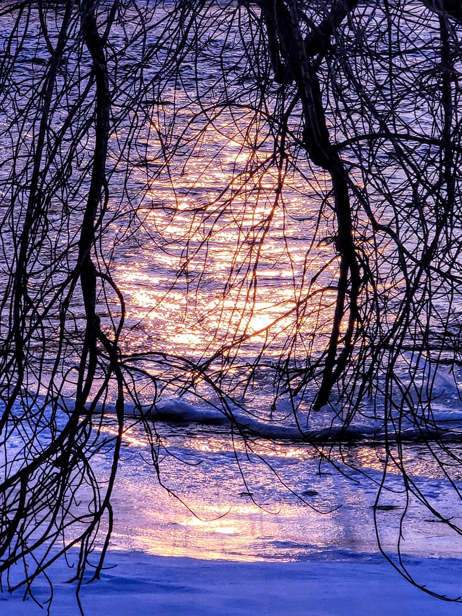 January sunrise 💜