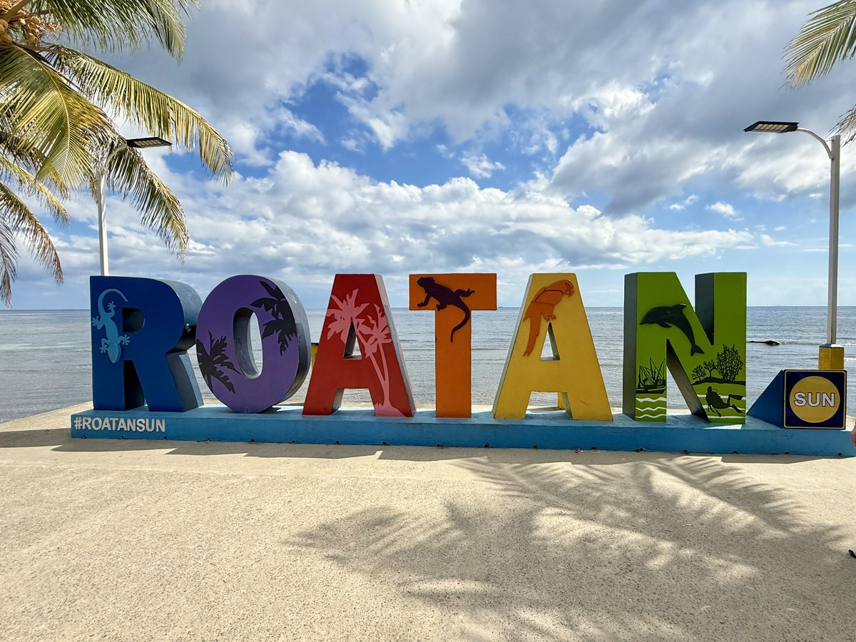 cbeachbrewer's tweet photo. Lets get tropical! https://t.co/RNks8mneAU