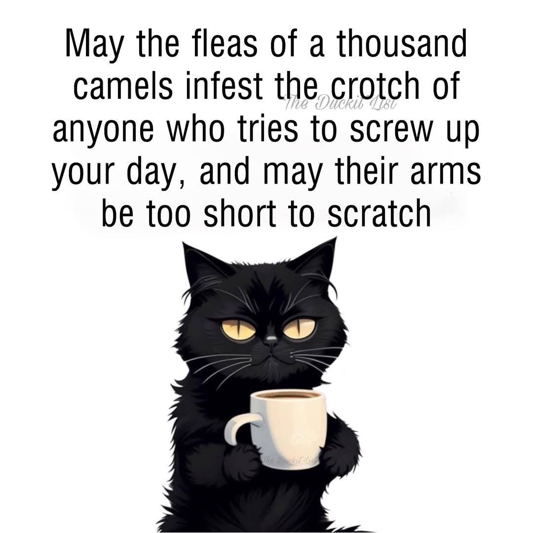 woofknight's tweet image. 