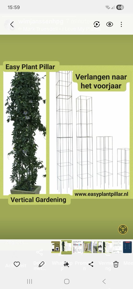 KlimplantenAmsterdam tweet media