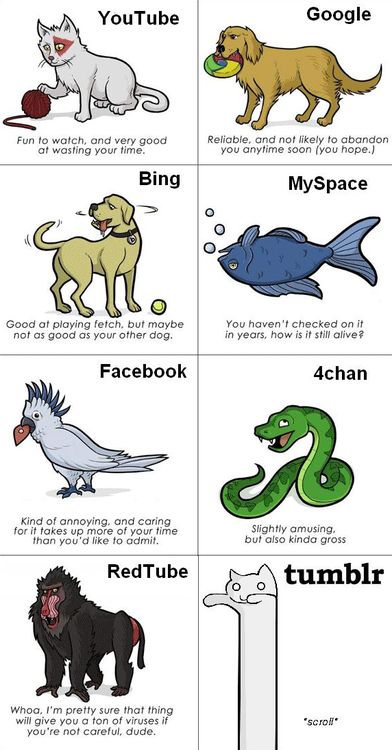 Hacking Articles tweet media