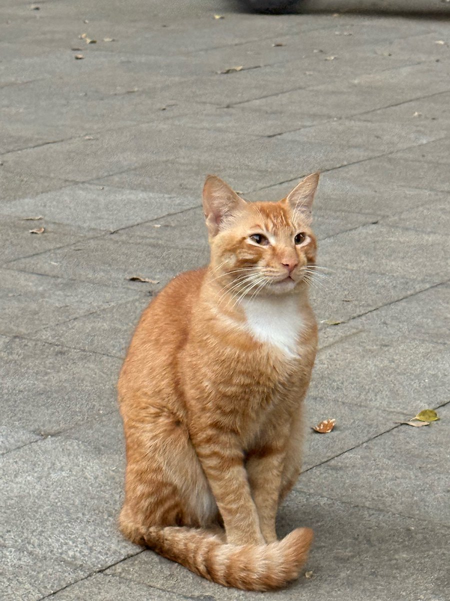 MessagefromTEN's tweet image. 260114 #TEN 💭