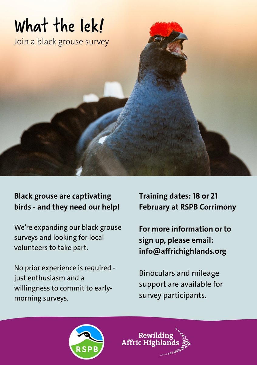 Rewilding Affric Highlands tweet media