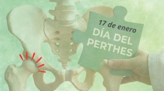 Recogida de firmas para que el 17 de enero sea reconocido el Día Nacional del Perthes 

La Asociación de Familias con Perthes (<a href="/perthesasfape/">ASFAPE</a>) busca dar visibilidad a la enfermedad de Legg-Calvé-Perthes 

somospacientes.com/noticias/al-di…