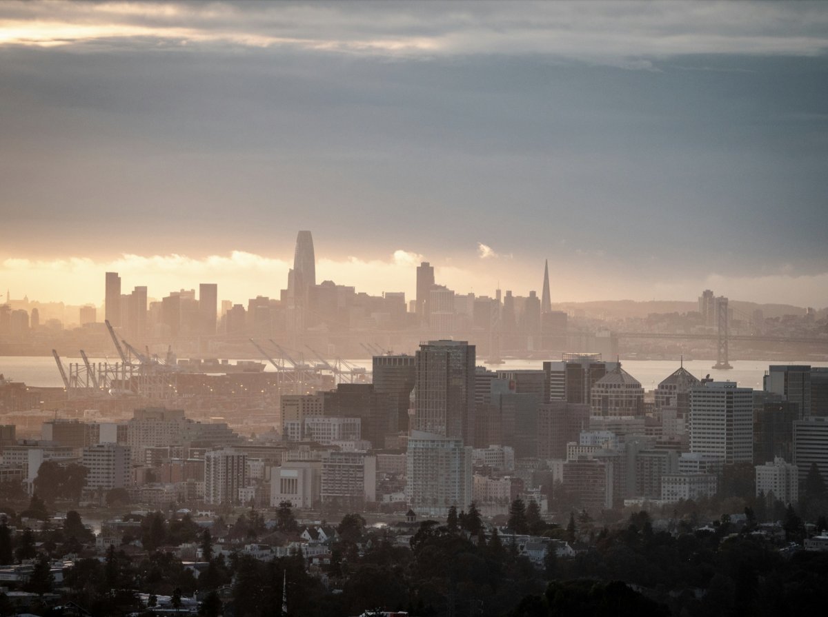 Raka Ray tweet media