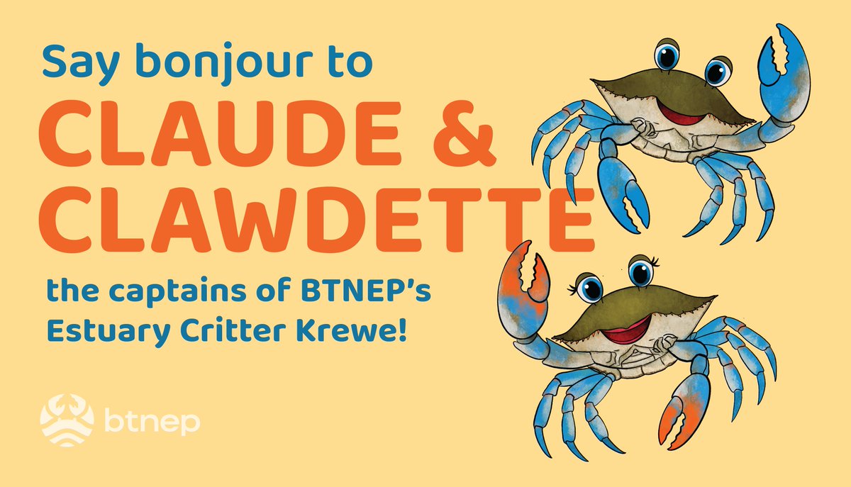Mais, we told y'all we had clawesome news! Meet Claude &amp; Clawdette, 2 blue crabs with big personalities and plans for our littlest Estuary Explorers. Since the 1990s, they’ve taught thousands about the BTNE. After a makeover, they’re back, and they didn’t come alone...👀