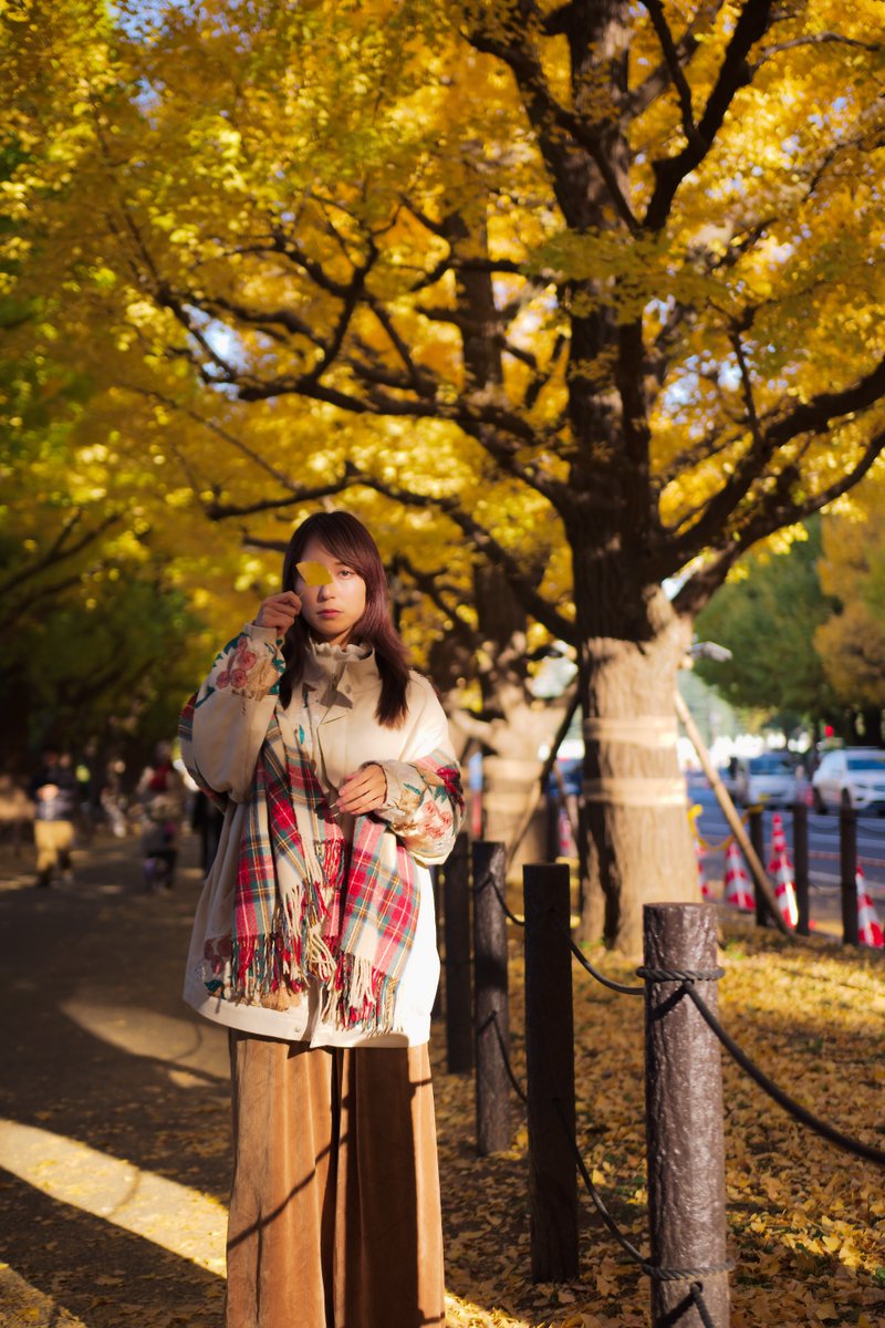 秋の金　B
ypayhei.blog.jp/30293132
<a href="/awowiue_/">蒼井ウエ</a>