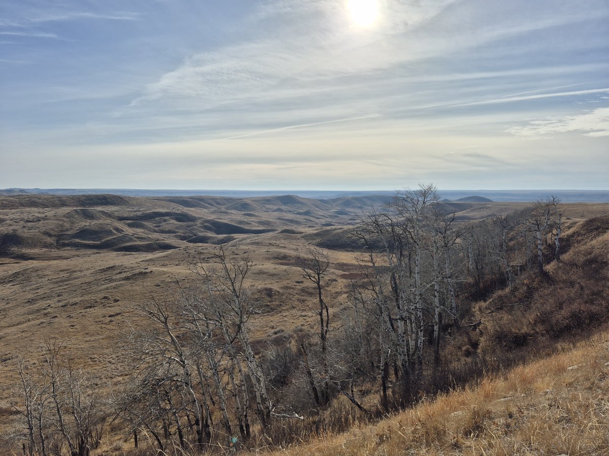 Sask PCAP tweet media