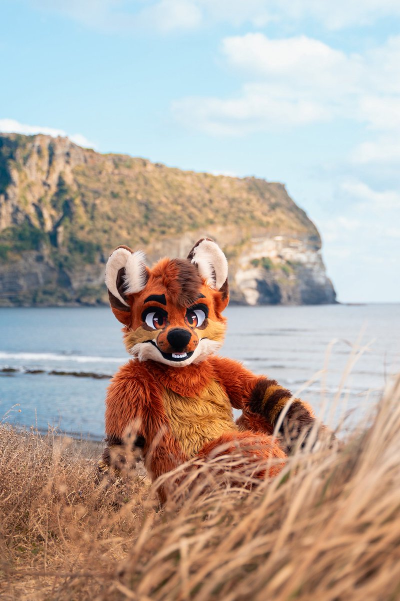#FursuitEverday
🏝️🏝️🏝️
📸 <a href="/Noel_Goldy/">NOËL🔜JOA</a>