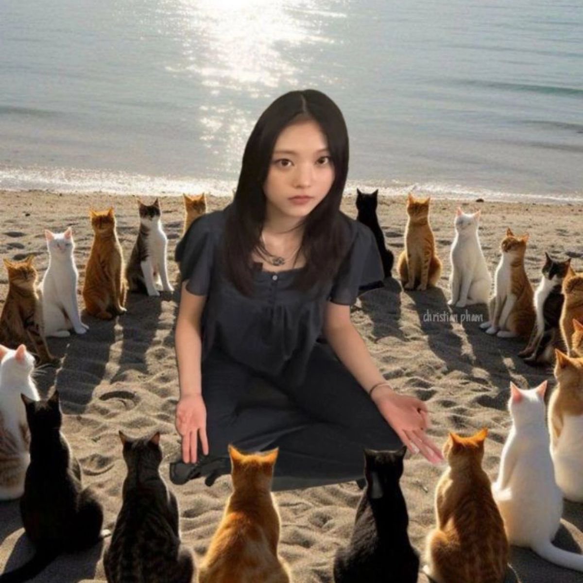𝓝oya. tweet media