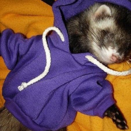 mydeepbluu's tweet image. 지민 푹자잘자사랑해~~~💤🩵