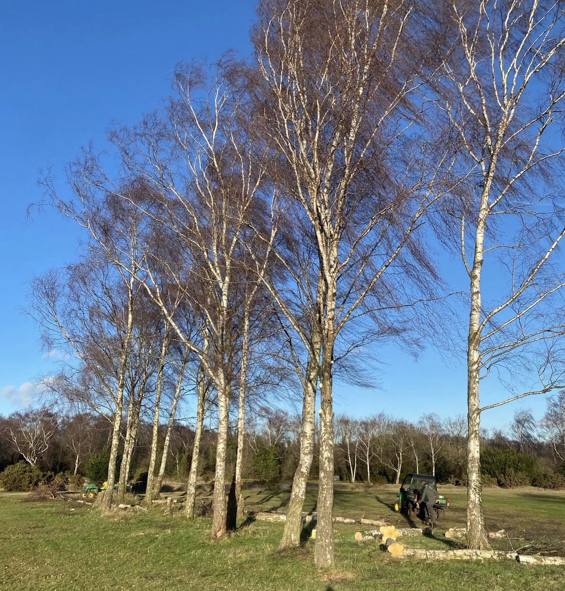 LindrickGolfClub tweet media