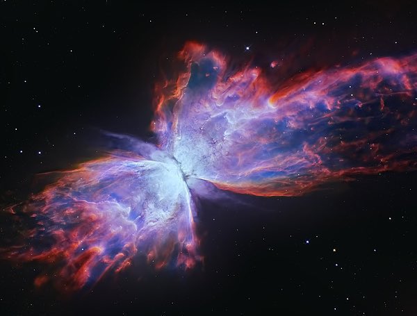 22hrr22min's tweet image. the butterfly nebula 🦋