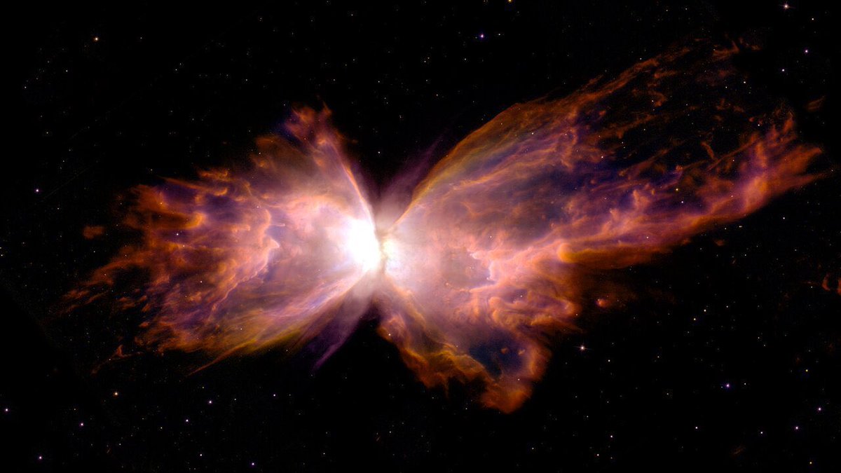 22hrr22min's tweet image. the butterfly nebula 🦋