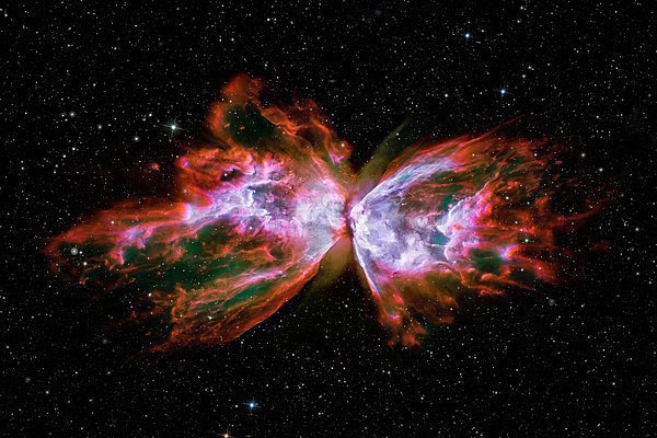 22hrr22min's tweet image. the butterfly nebula 🦋